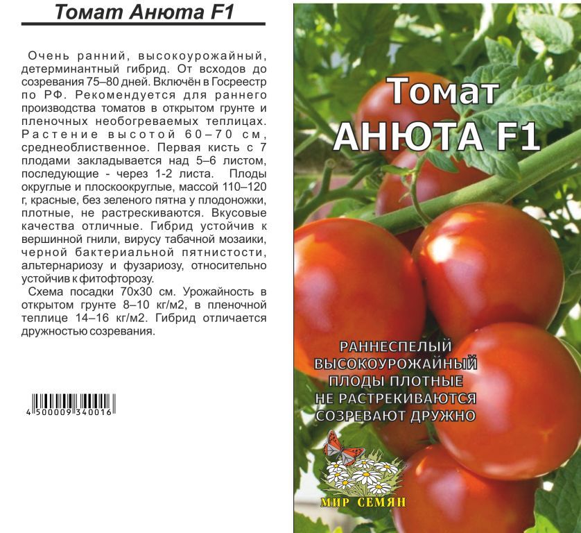 Помидоры анюта описание сорта. Томат Анюта. Томат Анюта характеристика. Помидоры сорт Анюта. Помидоры Анюта фото.