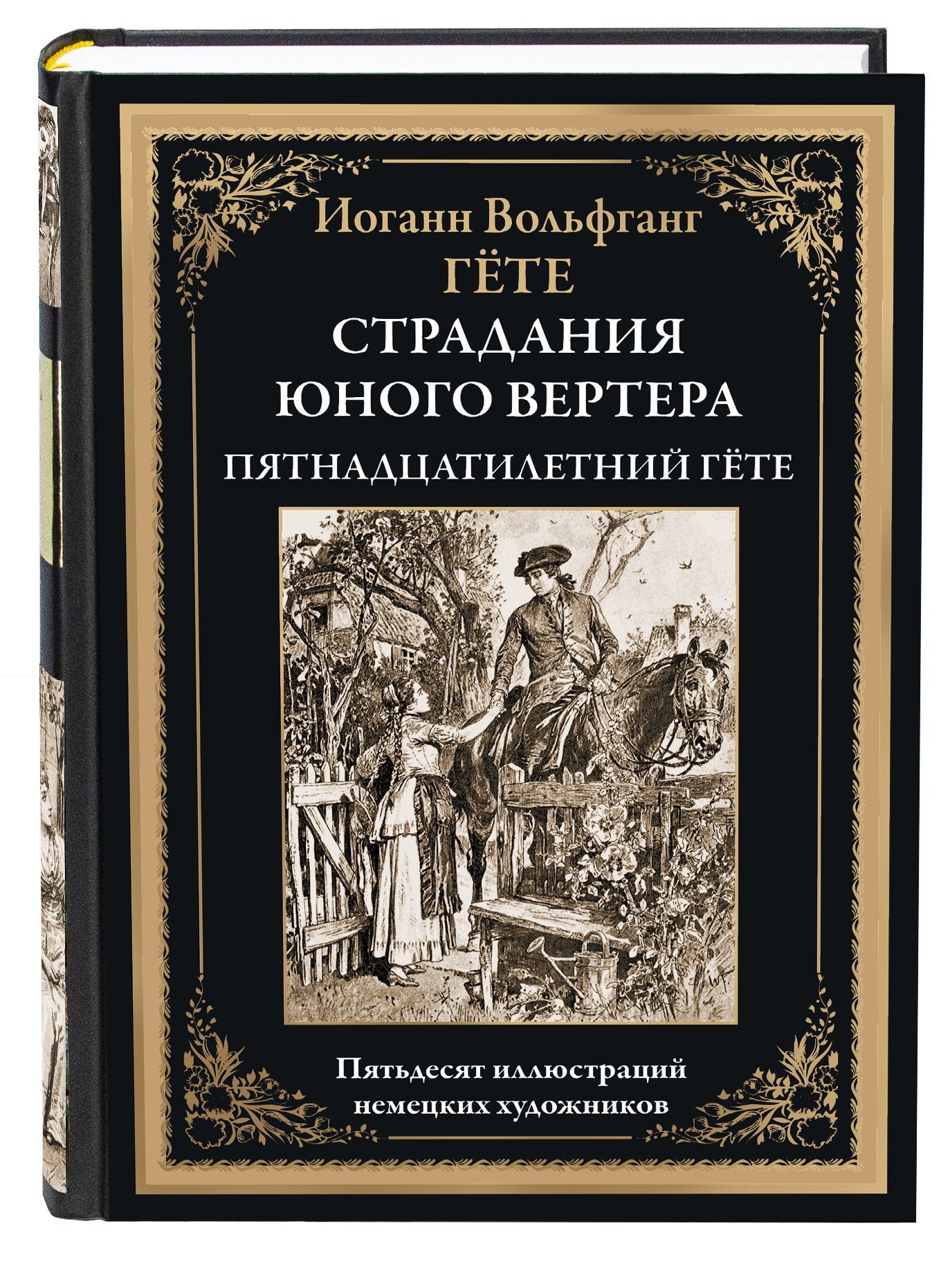 Страдания юного вертера. Пятнадцатилетний Гете | Гёте Иоганн Вольфганг -  купить с доставкой по выгодным ценам в интернет-магазине OZON (1012337639)