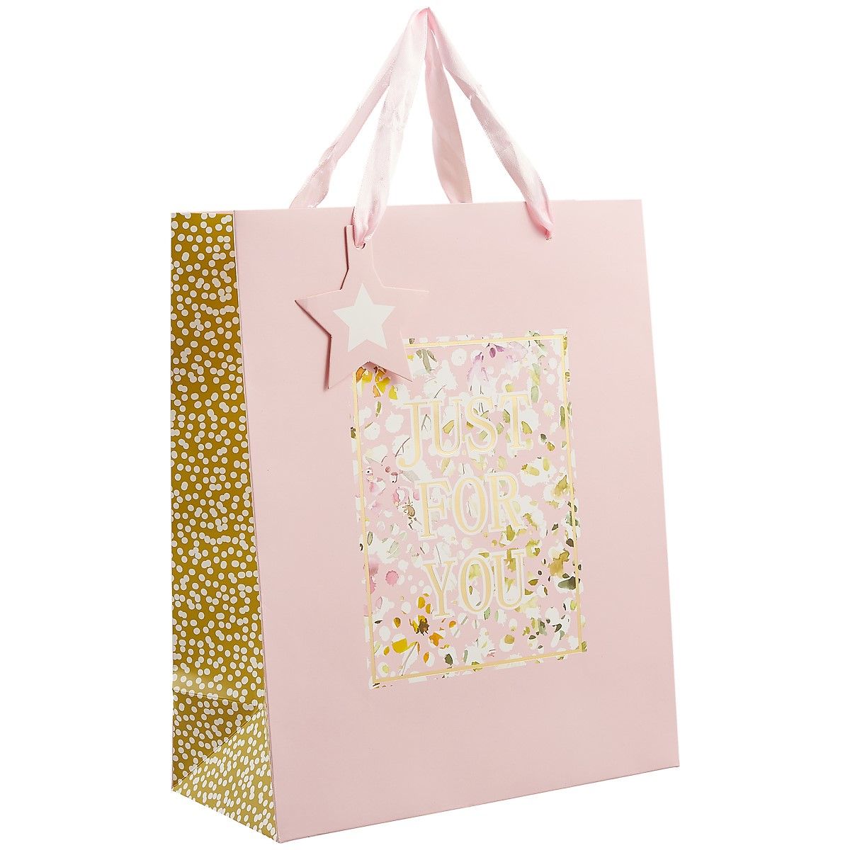 пакет 5. большие подарочные пакеты. Regal пакет 32 26 12. пакет бумажный белый. пакет а4 26*32*12 "летнее настроение".