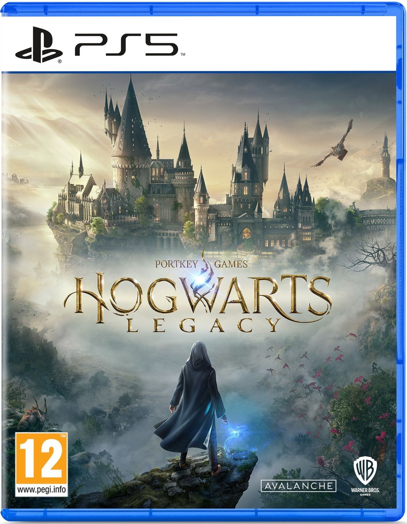 Hogwarts legacy русские субтитры фото 82