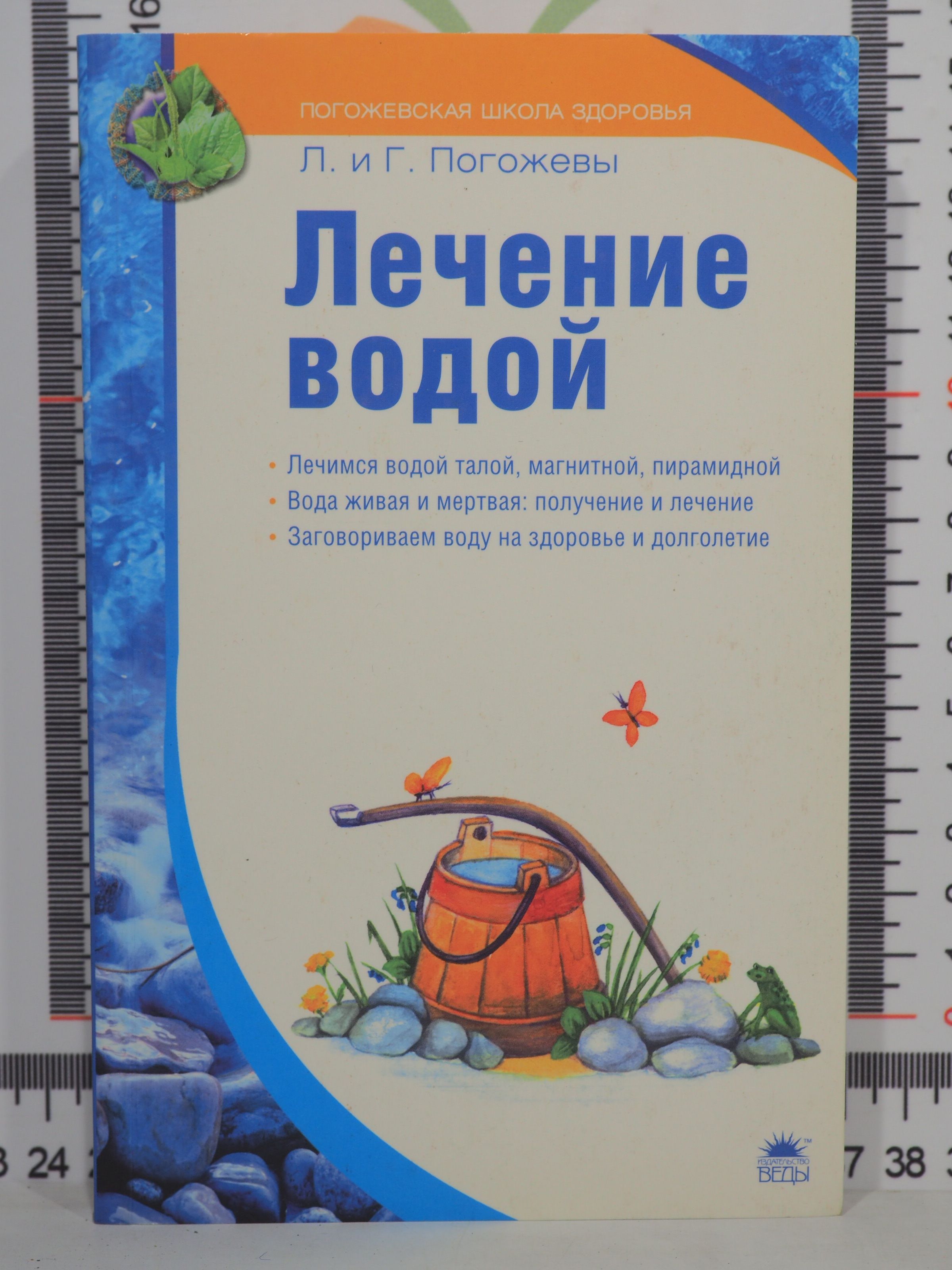 Погожевы Л. и Г. / Лечение водой | Погожев Глеб Андреевич - купить с  доставкой по выгодным ценам в интернет-магазине OZON (1065568453)