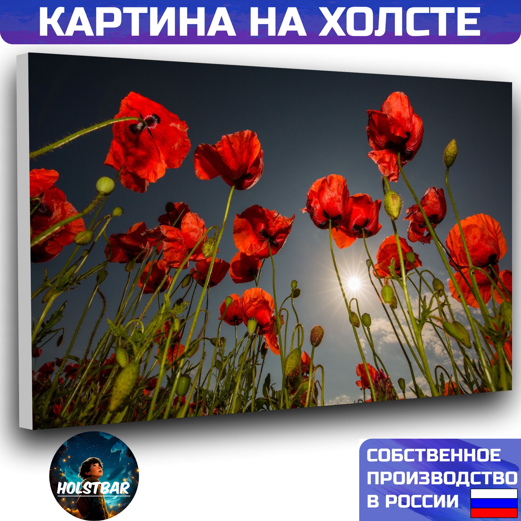Купить Живые Маки В Москве