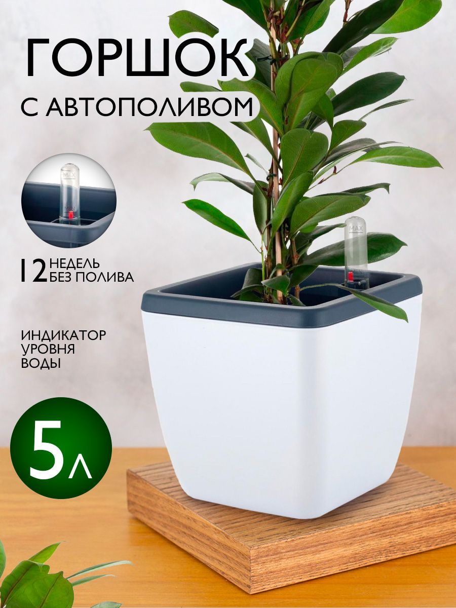 Горшки и вазоны InGreen (Ингрин) – купить на OZON по низкой цене