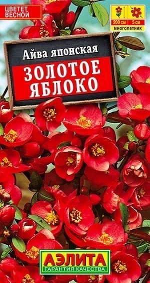 Основное о растении