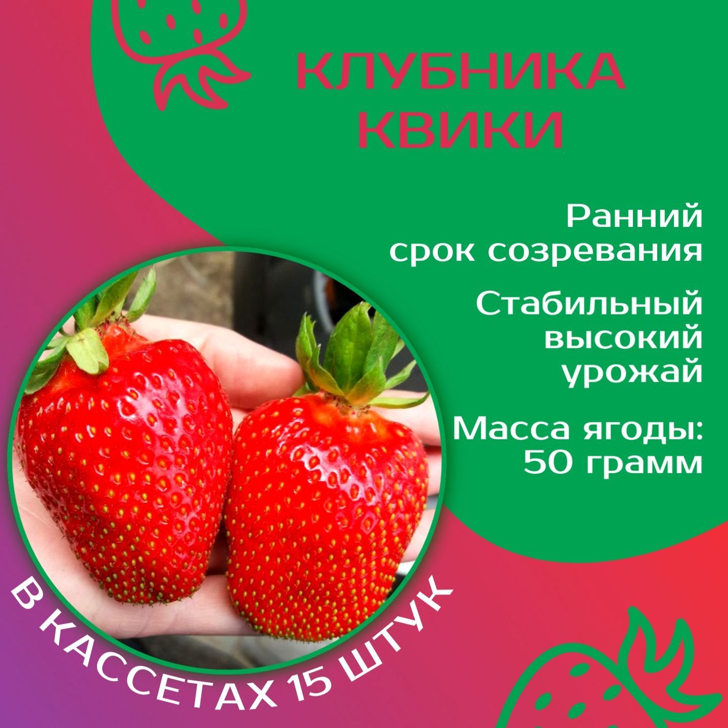Квики клубника описание Квики клубника описание