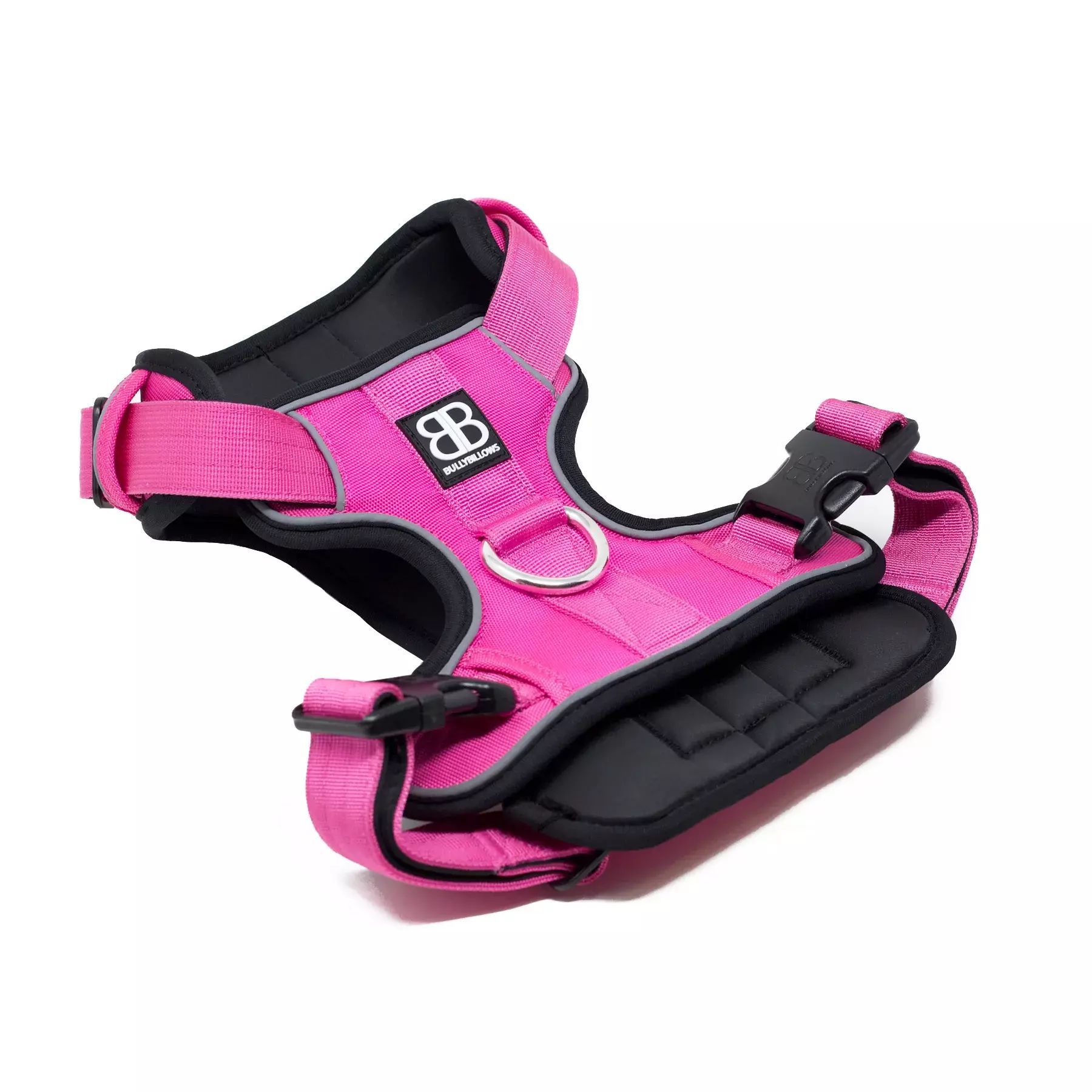 Dog Harness Market Poised to Reach $2.93 Billion by 2034