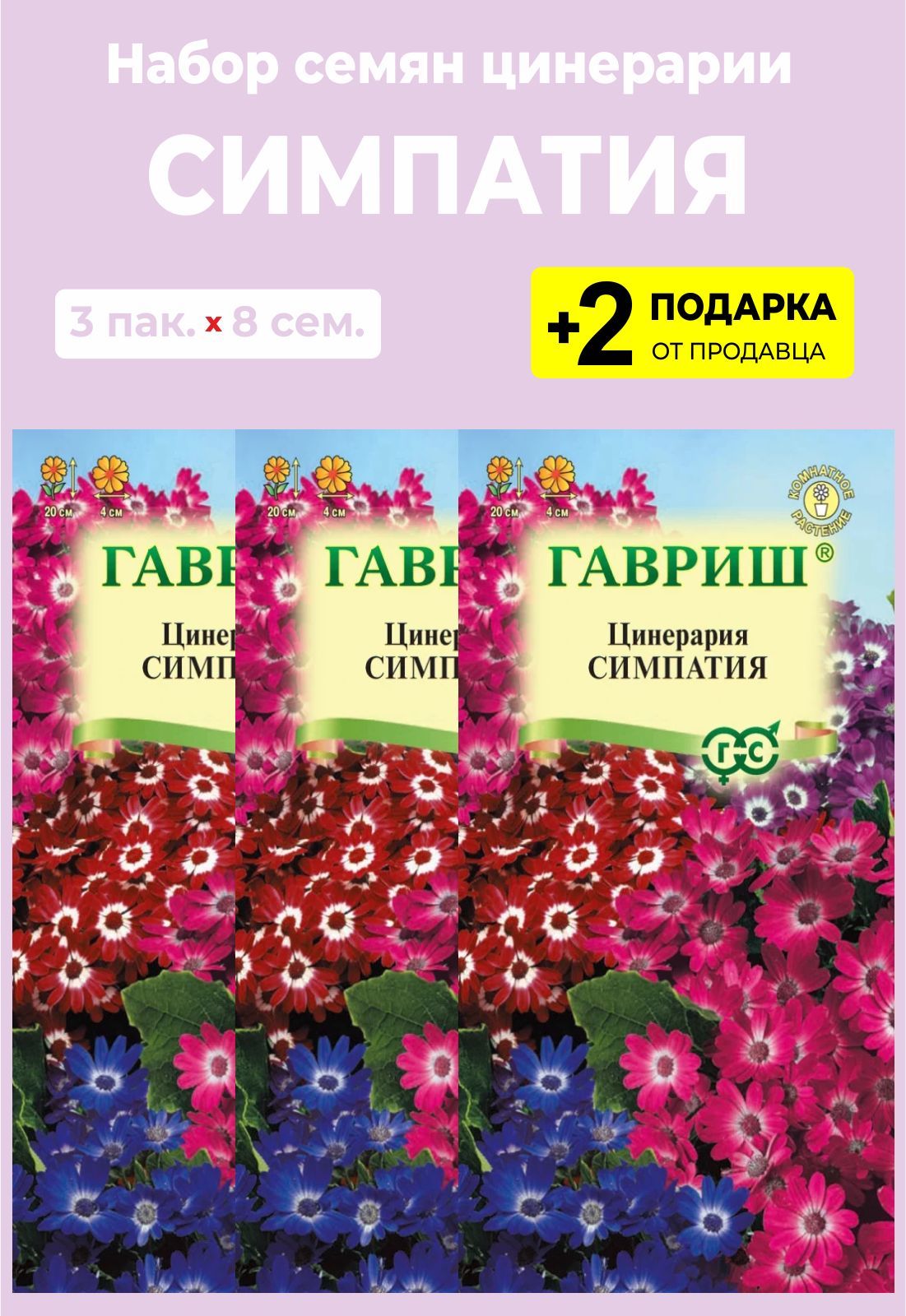 Цинерария Гибридная Купить Семена