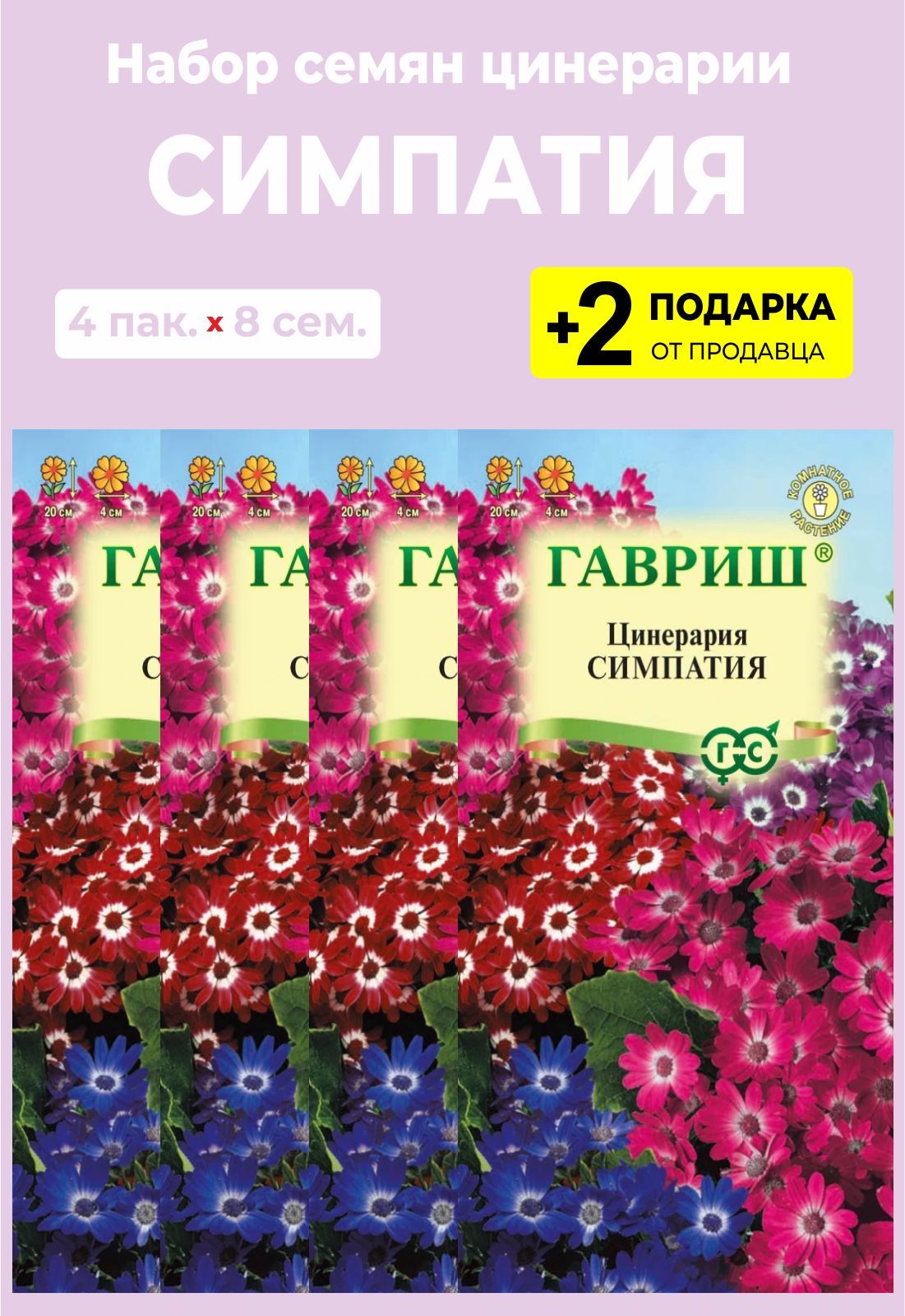 Цинерария Гибридная Купить Семена