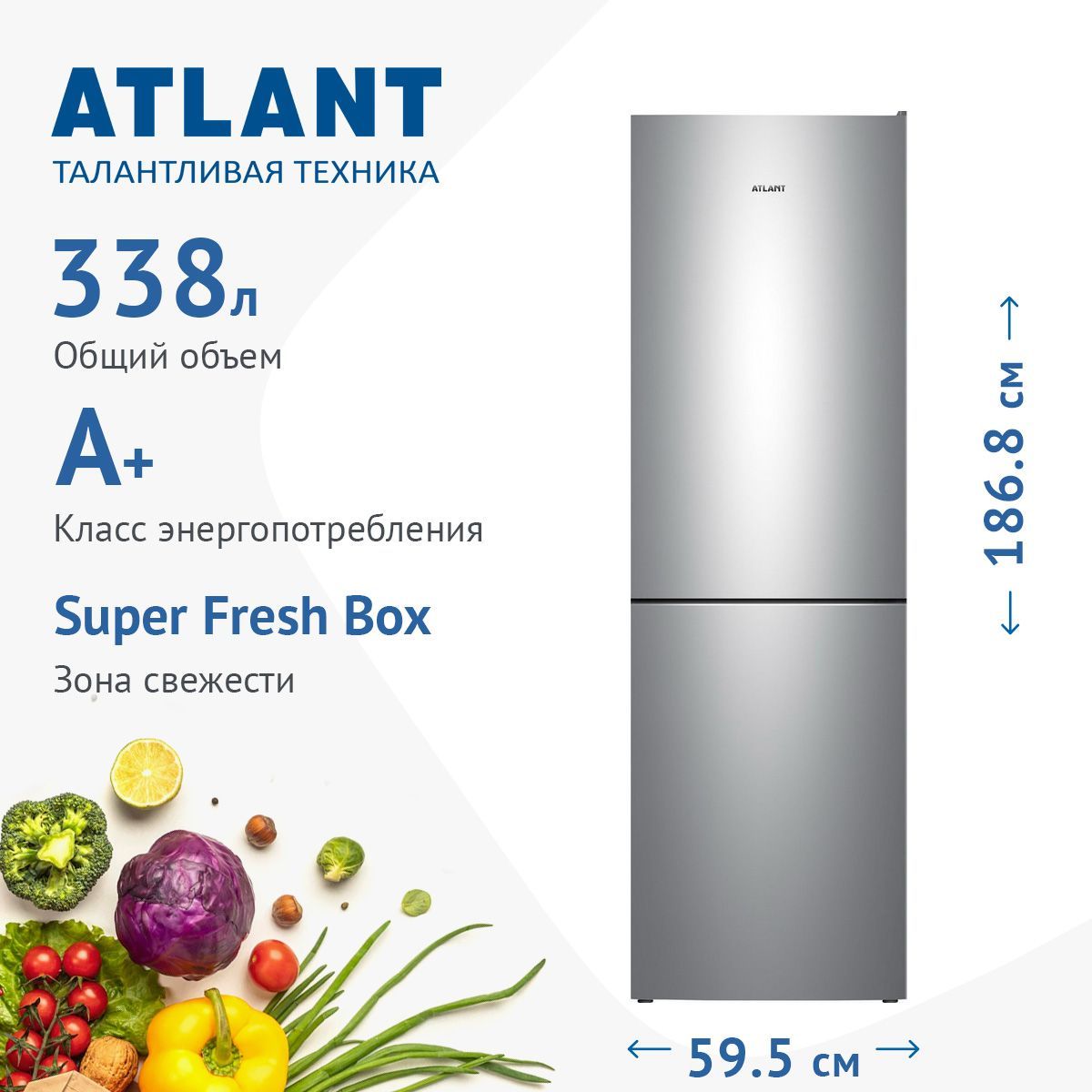 Холодильник иваново каталог товаров и цены. Атлант хм 4621 101 лук.