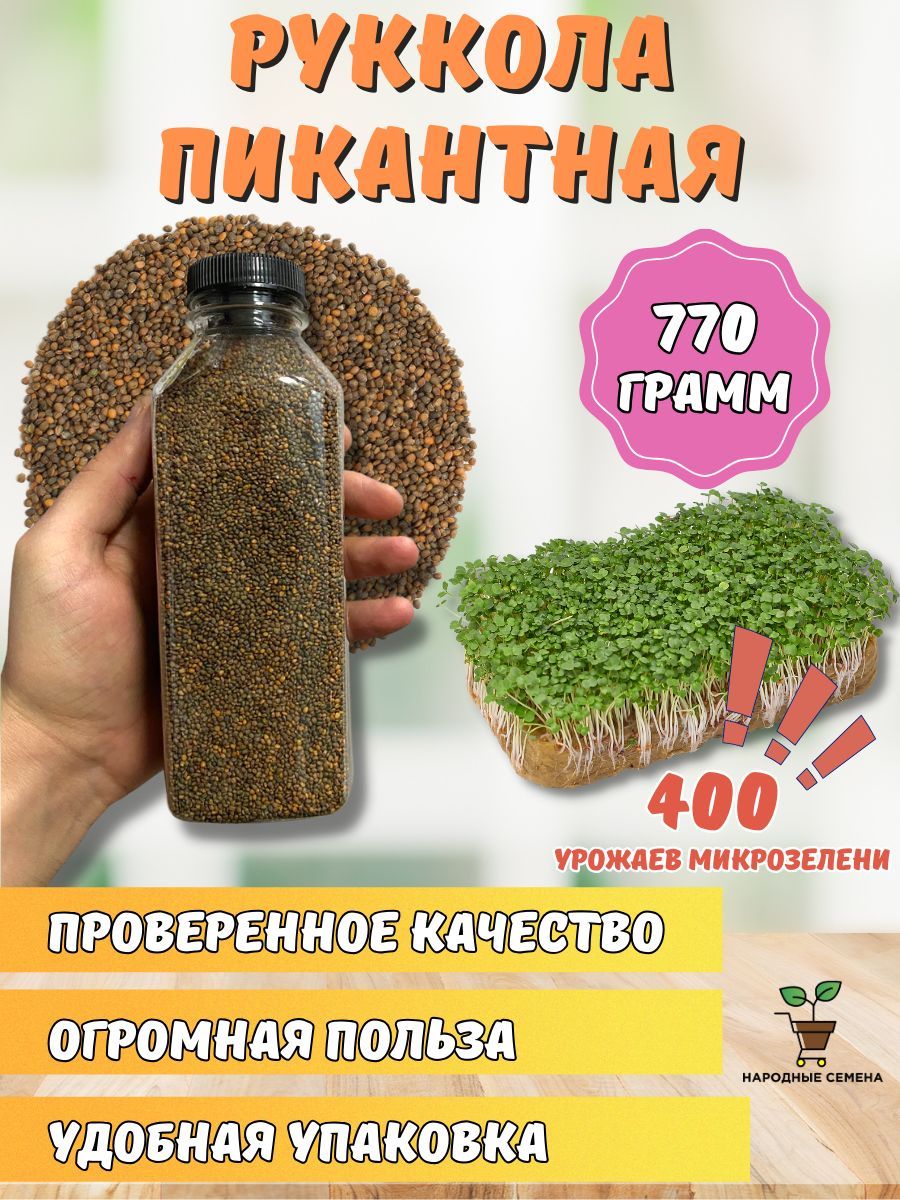 Семена Рукколы Купить