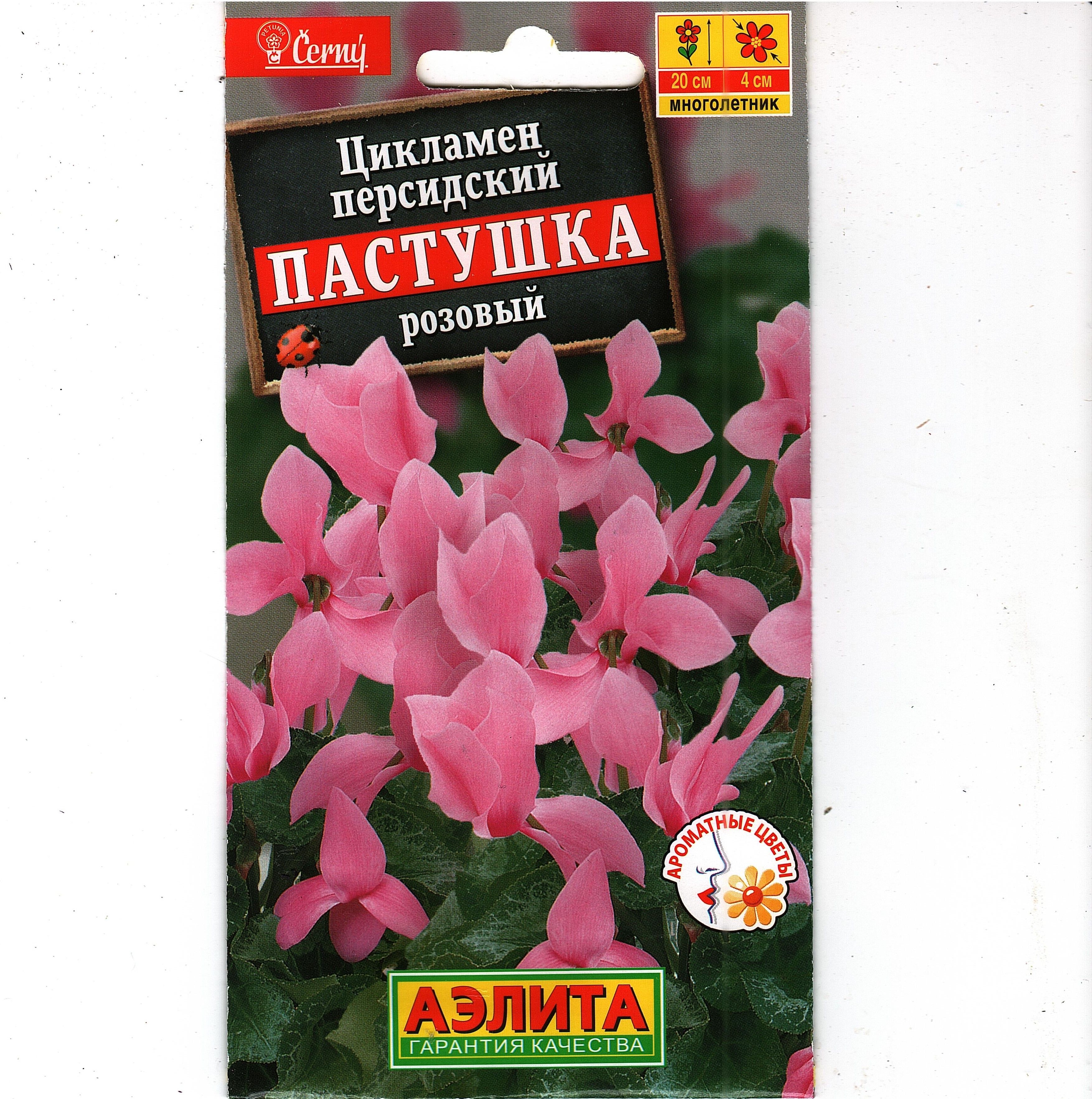 Купить Семена Цикламена Недорого