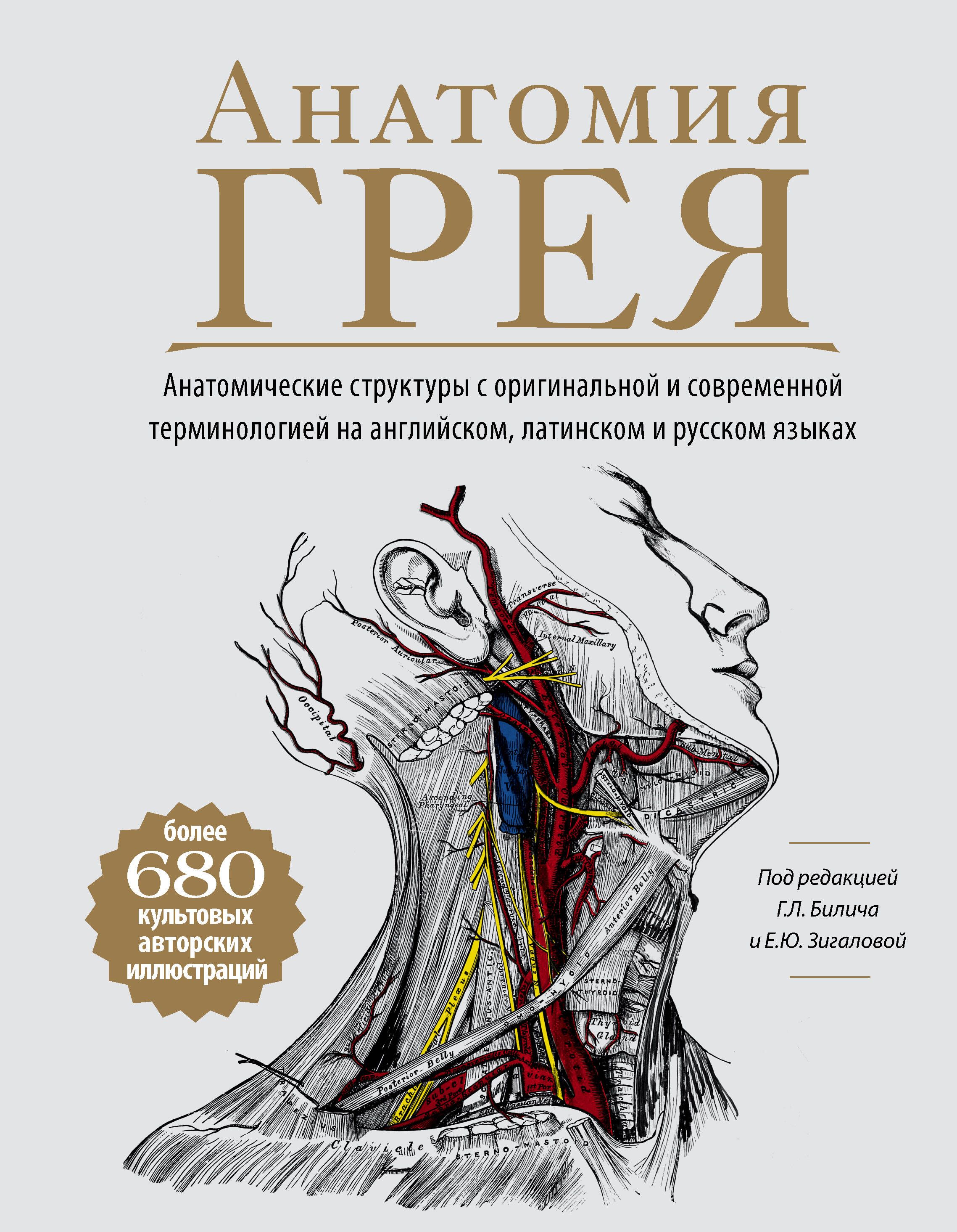 Какие книги по анатомии. Атлас анатомии Грея учебное пособие. Анатомия человека г. л. Билич е. ю. Зигалова книга. Анатомия книга. Анатомия Грея учебник.