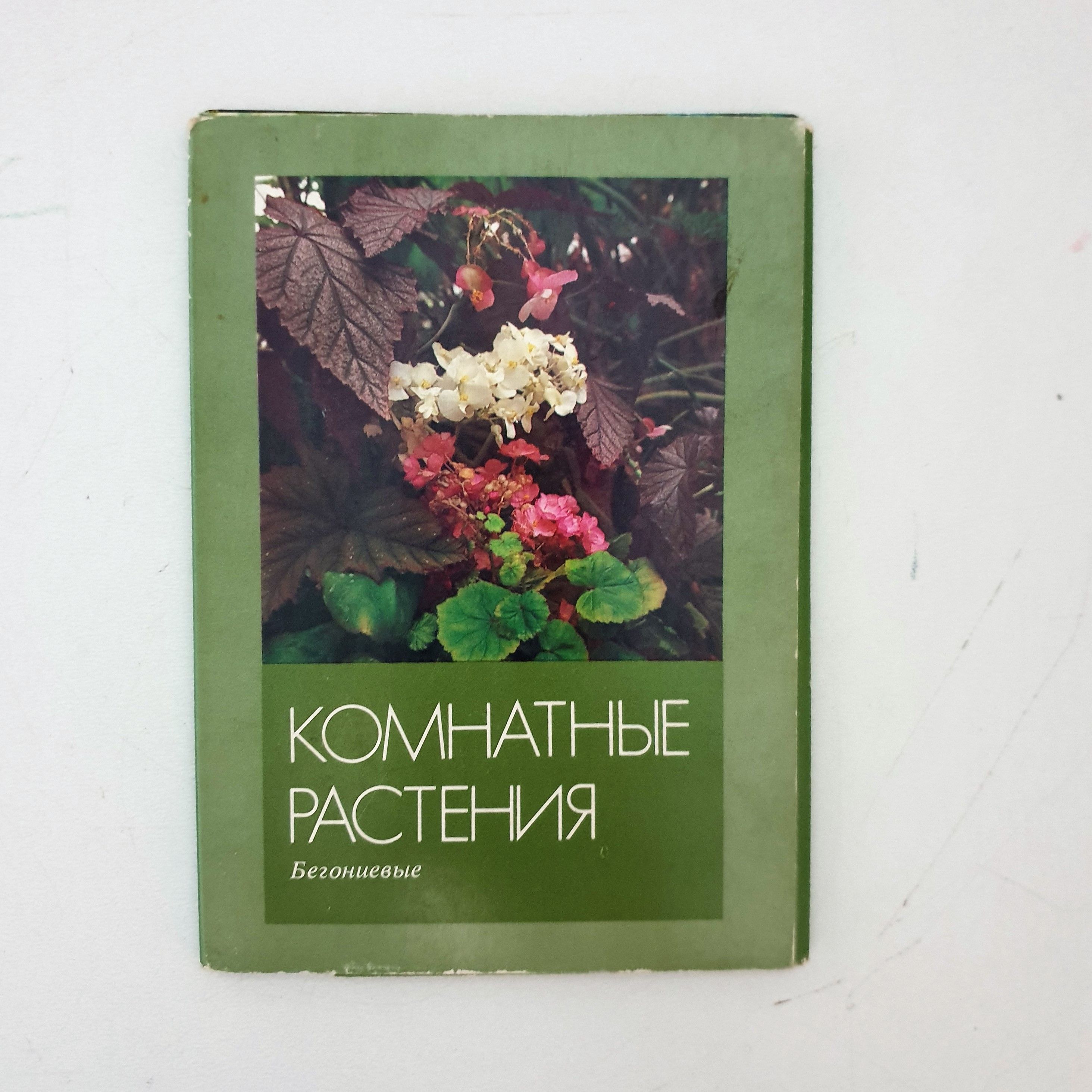 Набор открыток "Комнатные растения. Бегониевые" (16 шт.), СССР, 1987 г.