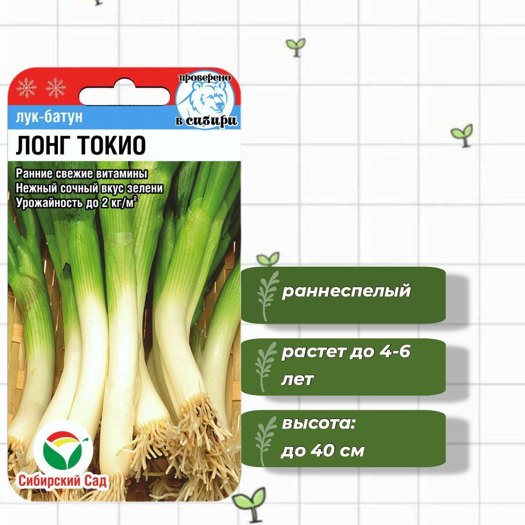 Лук Батун Лонг Токио Купить В Саратове