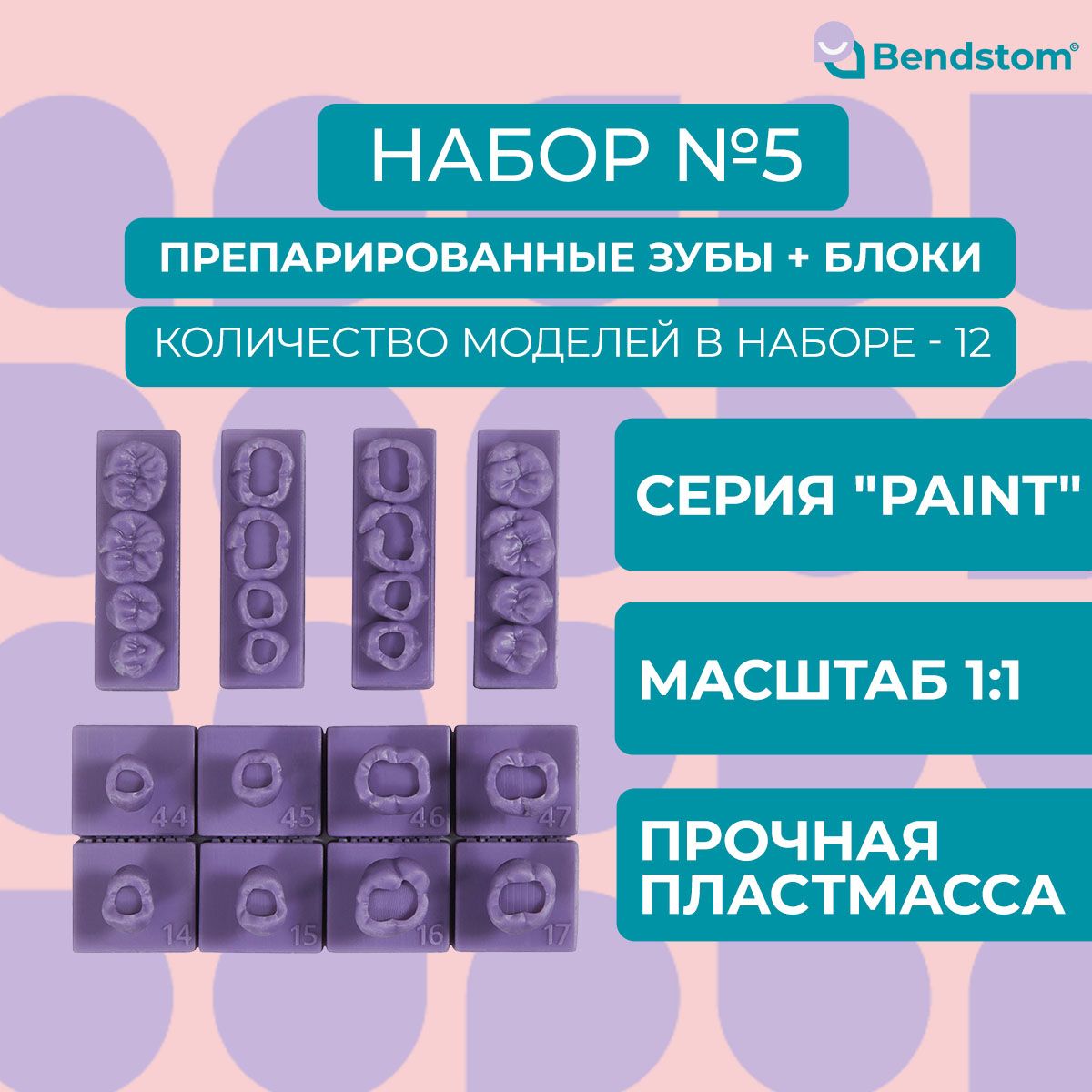 Набор №5 Paint препарированные зубы + жевательные блоки для отработки мануальных навыков / стоматологические модели для реставрации