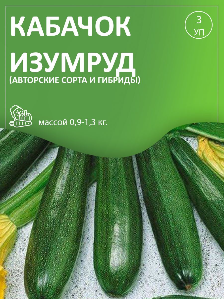 Кабачок изумруд. Кабачок изумруд описание сорта фото отзывы.