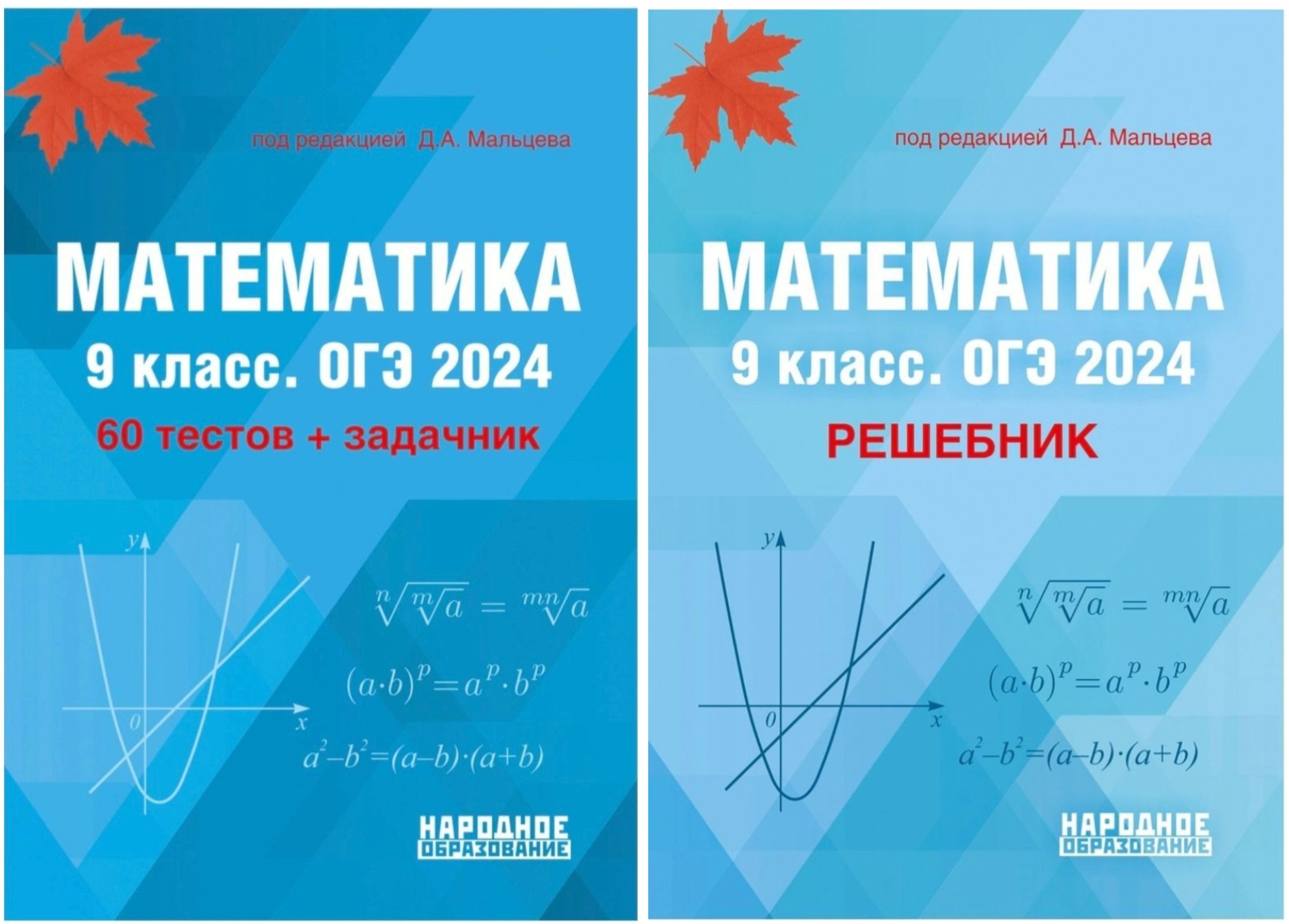 Математика. 9 класс. ОГЭ 2024. 60 тестов + задачник + РЕШЕБНИК | Мальцев  Дмитрий Александрович - купить с доставкой по выгодным ценам в  интернет-магазине OZON (1279437477)