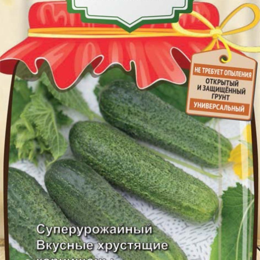 Огурцы дамский угодник фото отзывы