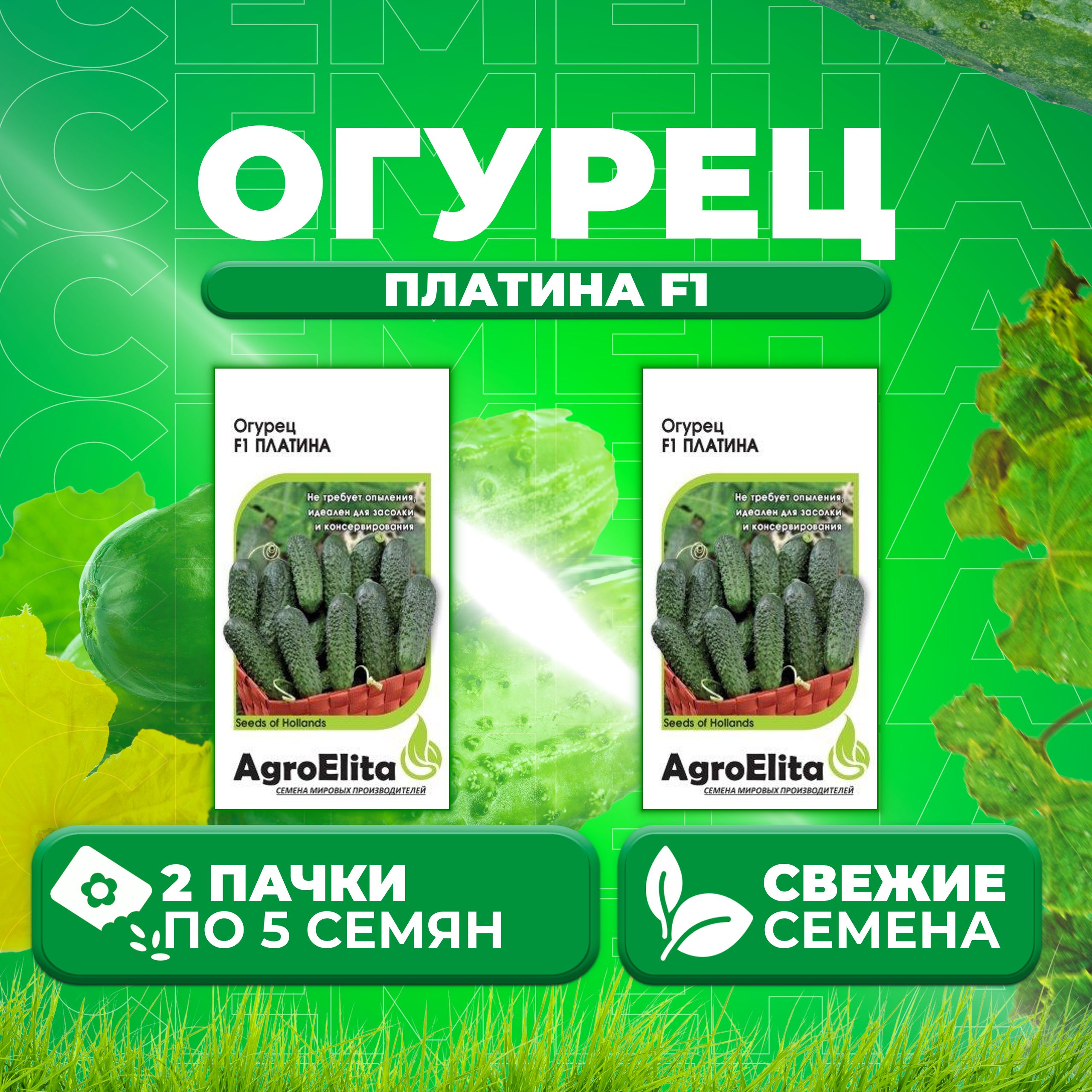 Огурец платина отзывы. Огурец платина отзывы