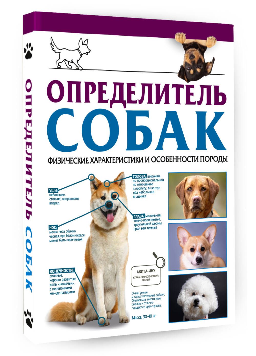 Определитель собак. Физические характеристики и особеннности породы | Барановская Ирина Геннадьевна