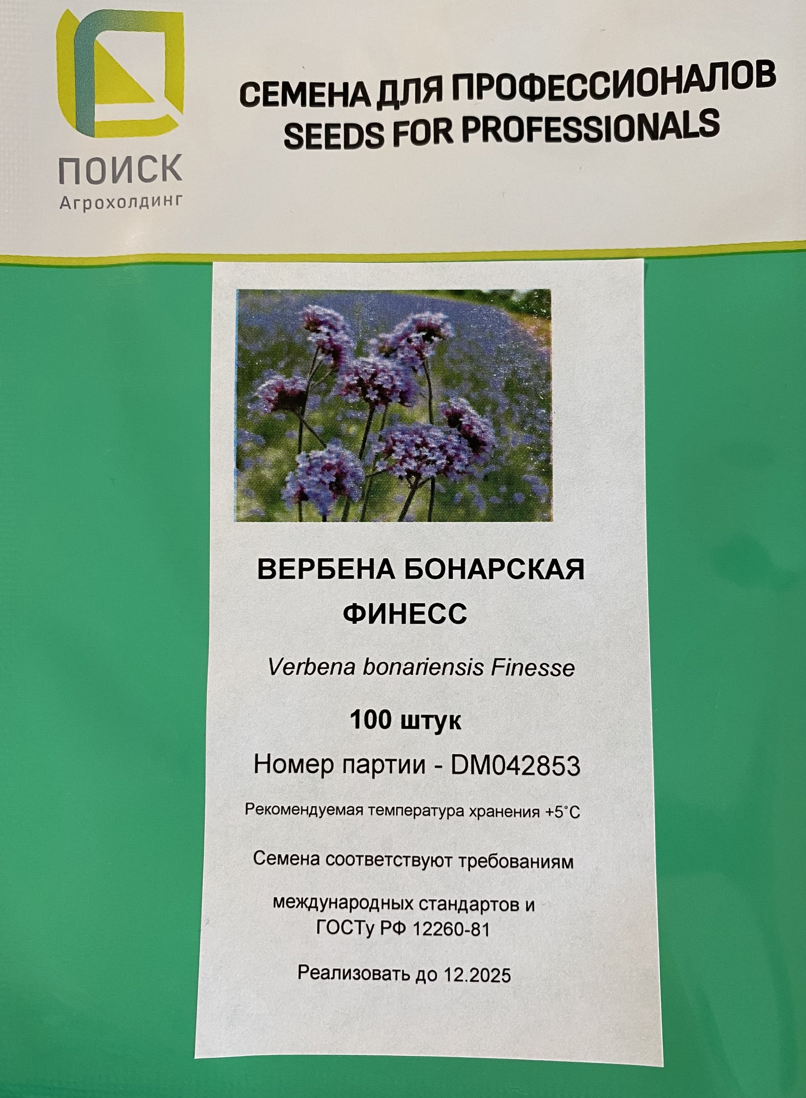 Купить Семена Вербены Бонарской В Интернет Магазине