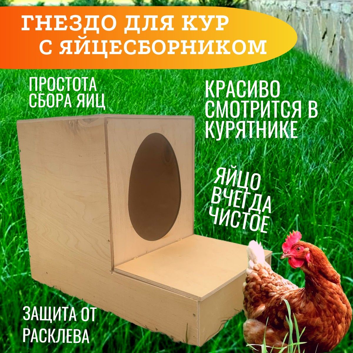 Гнездо для кур-несушек Gaun пластик с яйцесборником () купить в Москве