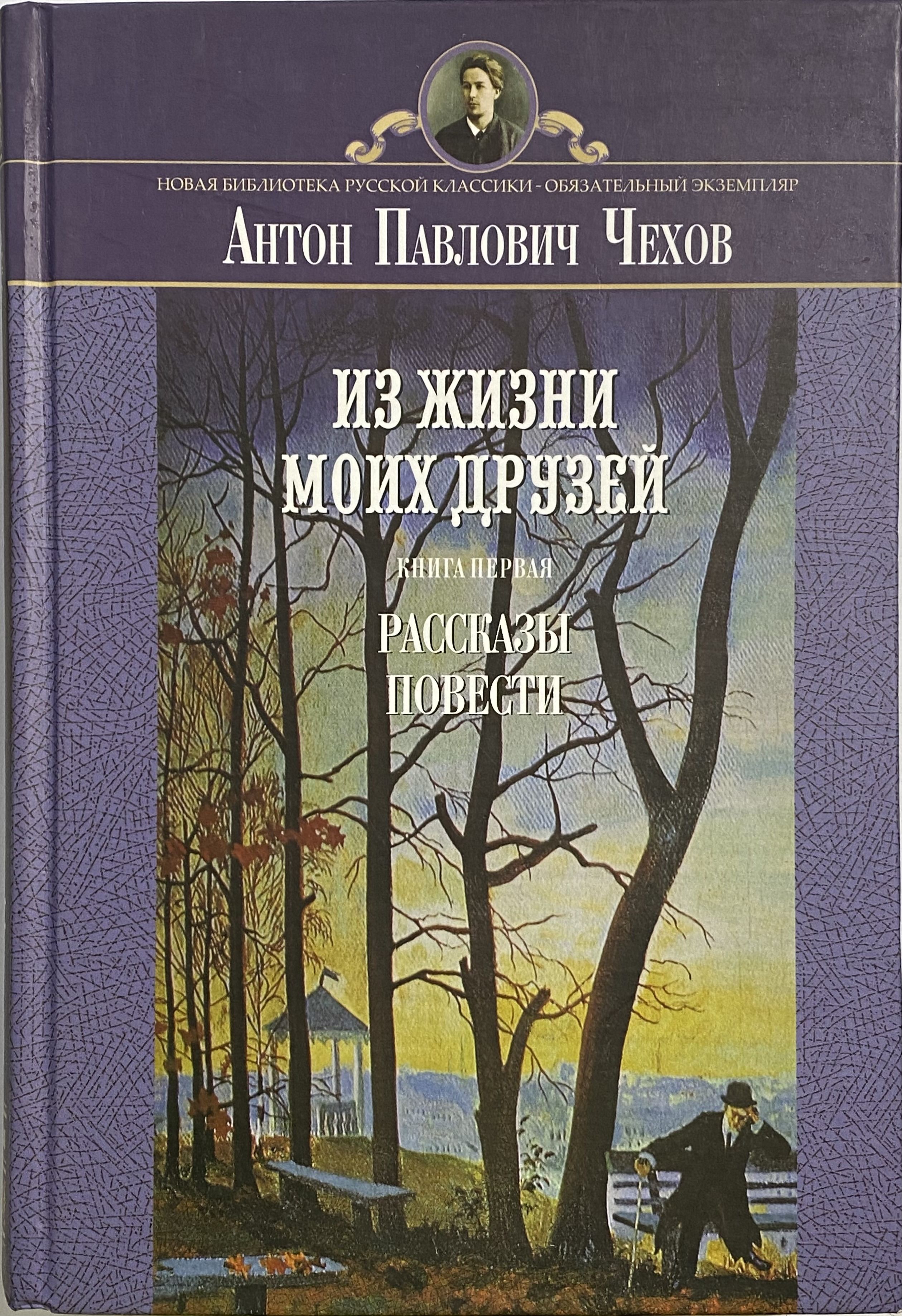 Чехов. Рассказы повести из жизни. Повести и рассказы а. 1894 а. Толстой повести и рассказы книга.