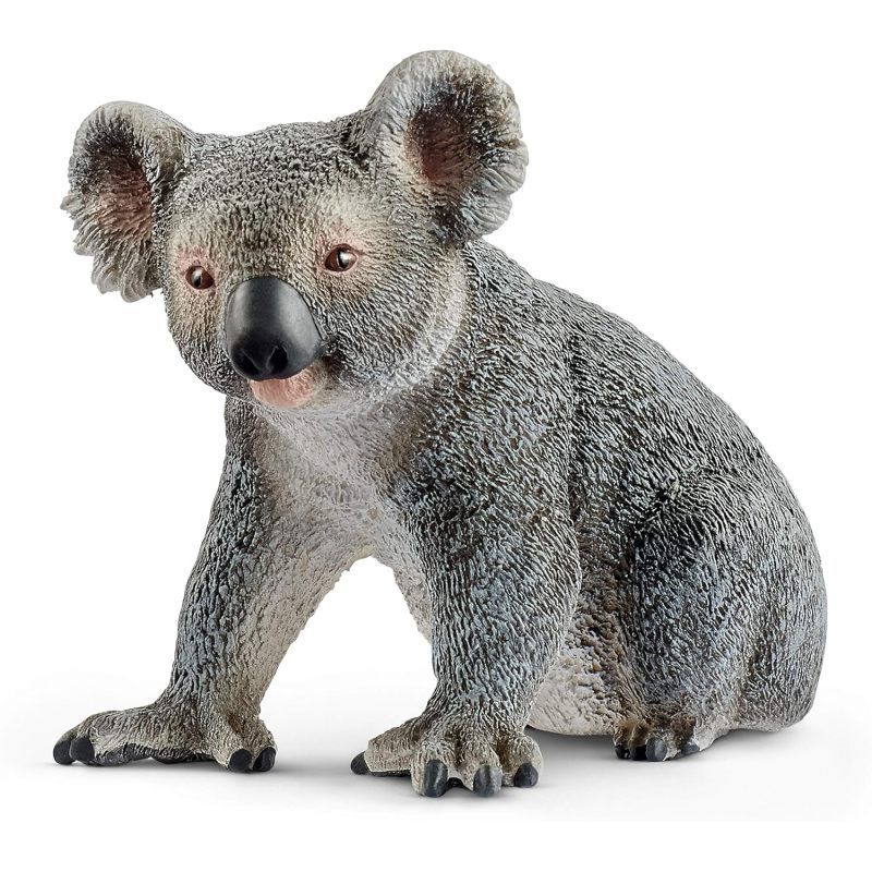 Игрушку animals. Schleich коала 14815. Schleich Квокка. Игрушка-фигурка "коала s2". Игрушки Дикие животные шляйх.