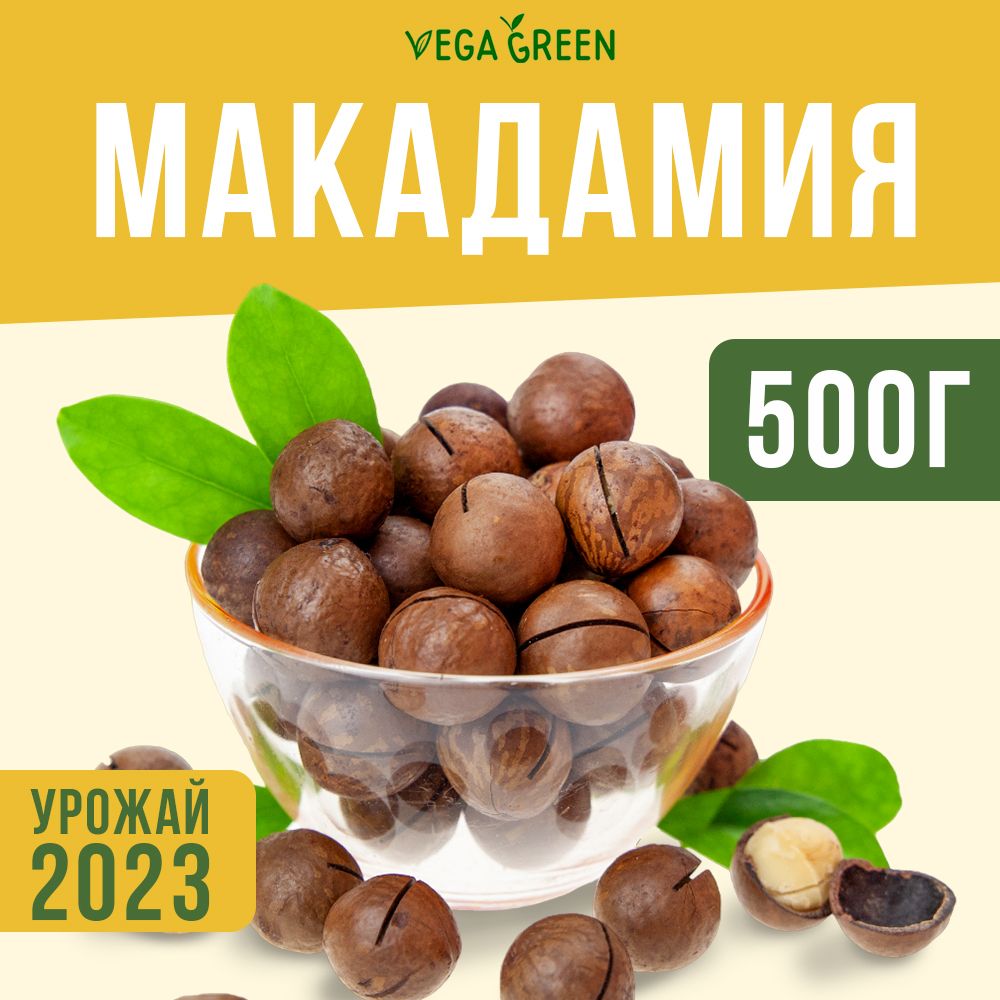 Макадамия орех в скорлупе, 2 ключа в комплекте, VegaGreen полезные  продукты, ЮАР, 500 г - купить с доставкой по выгодным ценам в  интернет-магазине OZON (185155490)