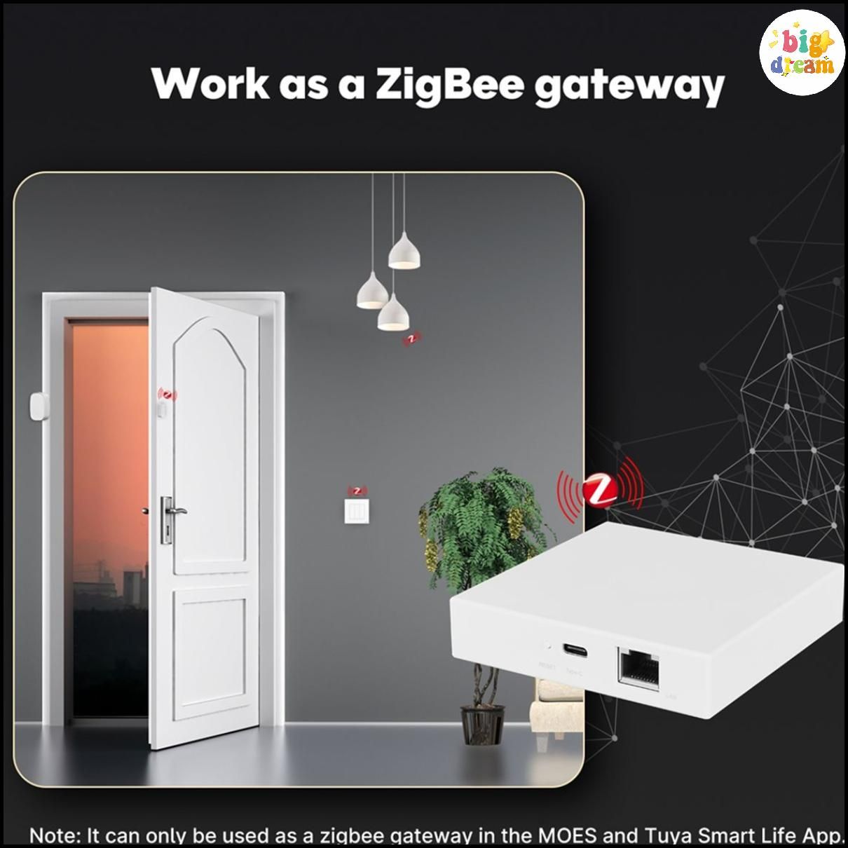 Шлюз moes zigbee. Шлюз moes zigbee