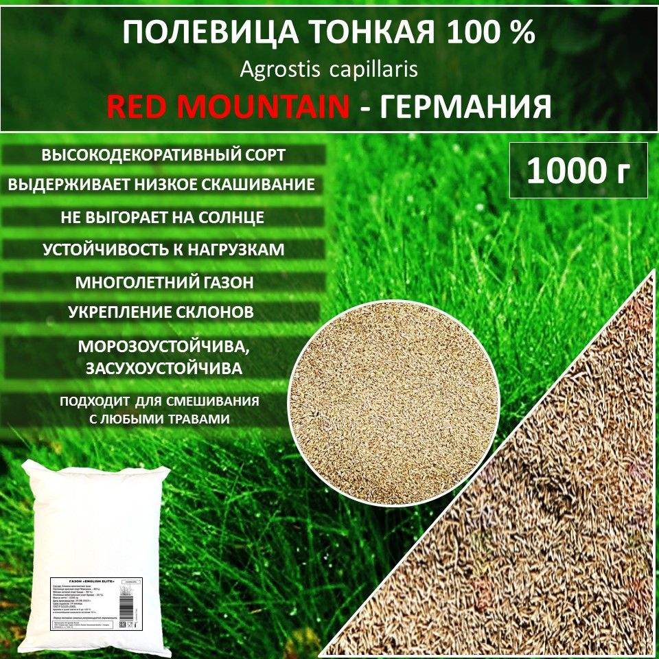 Газонные травы Гагарин Агро Газон 100 % Полевица тонкая RED MOUNTAIN  Германия, Ред Маунтейн газонная трава_РЭД МАУНТЭЙН (RED MOUNTAIN) - купить  по выгодным ценам в интернет-магазине OZON (1394777996)