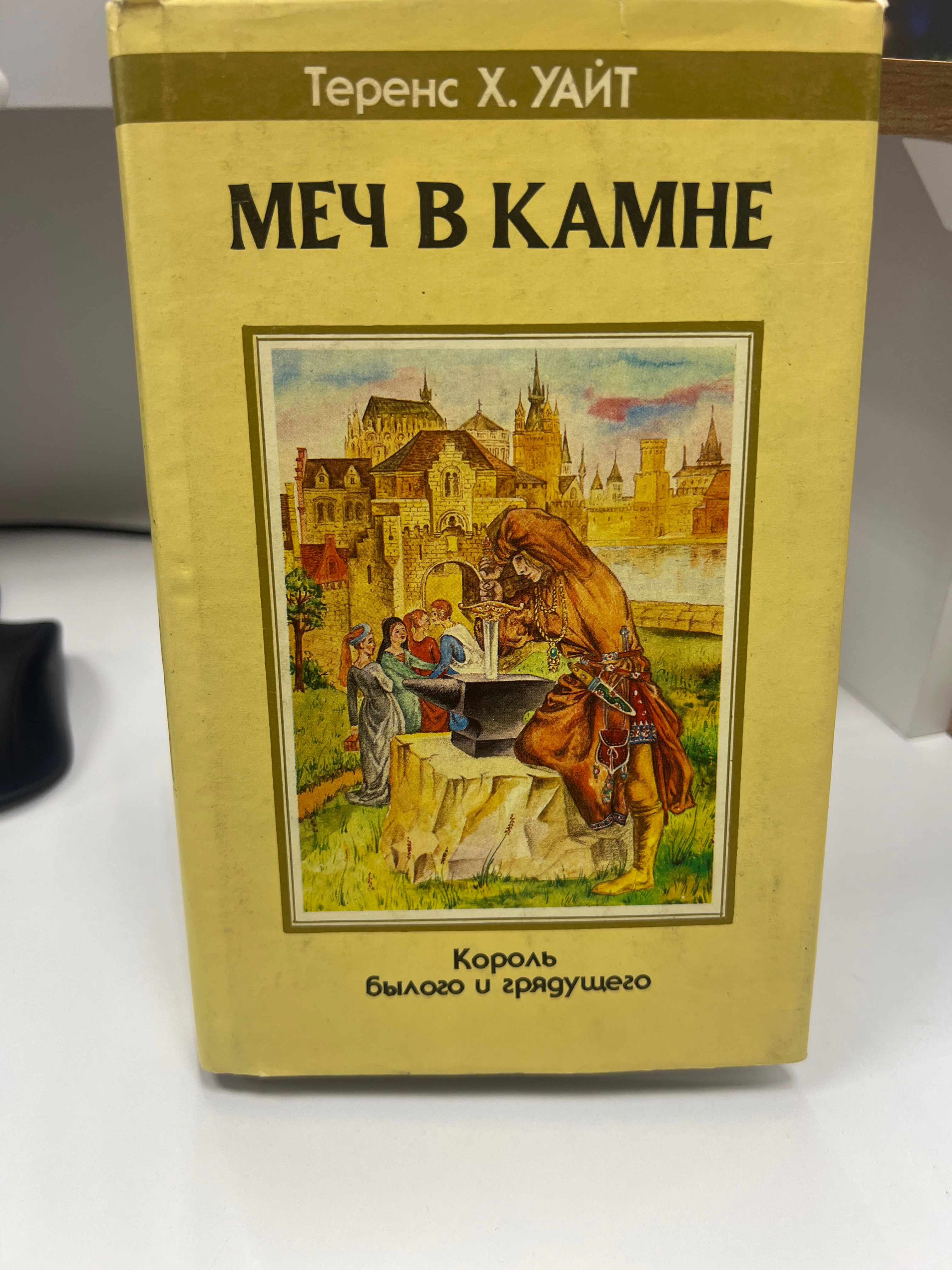 Меч в камне. Король былого и грядущего | Уайт Теренс Хэнбери