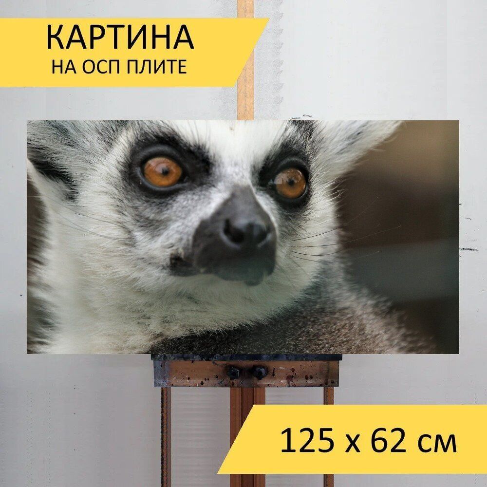 Картина животных 