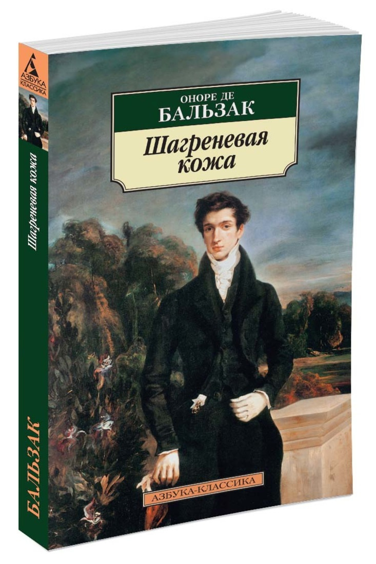 Книга: Шагреневая кожа