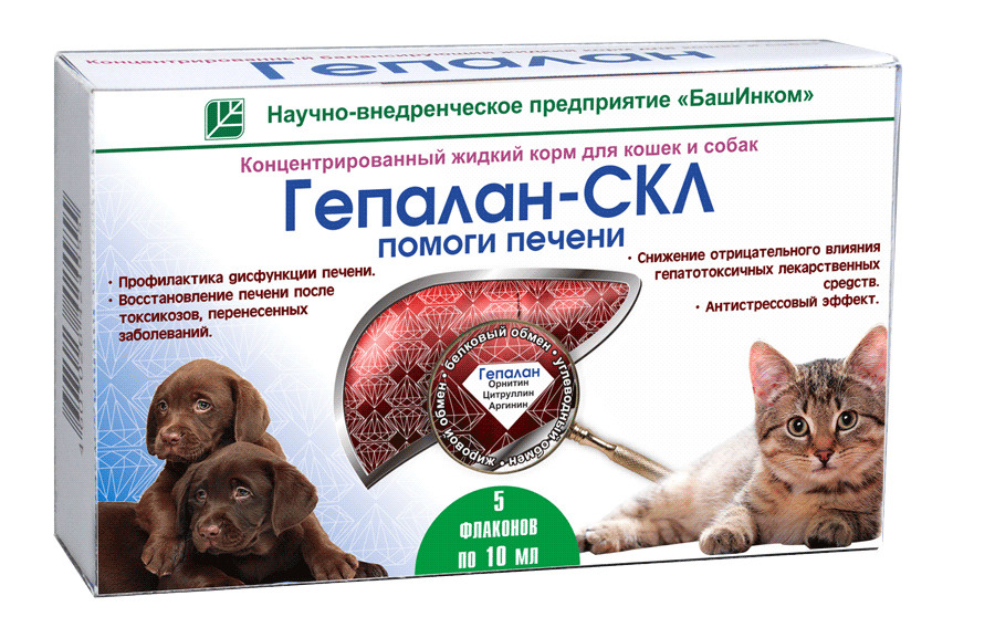 Можно коту печень. Гепатолюкс таблетки для собак. Гепатопротекторы для печени для кошек. Гепалан скл для котят. Таблетки для печени для кошек.