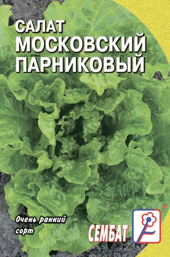 Салат московский парниковый кольчуга