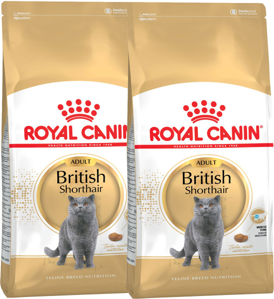 ROYAL CANIN BRITISH SHORTHAIR ADULT для взрослых британских ...
