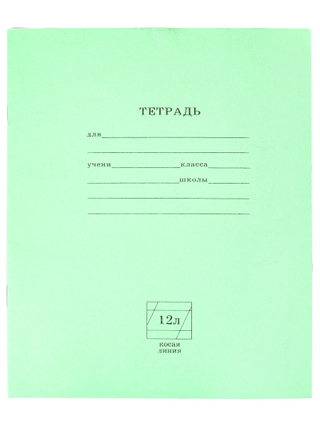 Тетради школьные 12 листов 10 штук Prof-Press косая линия купить на ...