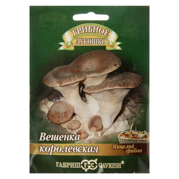 Семена Мицелий "Вешенка Королевская", на древесной палочке, 12 шт ...