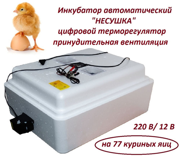 Инкубатор автоматический "Несушка" на 77 яиц, 220 В/12 В, цифровой ...