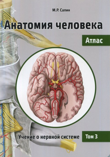 Сапин М.Р. Анатомия человека. Атлас. В III томах. Том III. Учение о ...