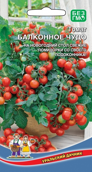 Томаты Уральский дачник Томат БАЛКОННОЕ ЧУДО - купить по выгодным ценам ...