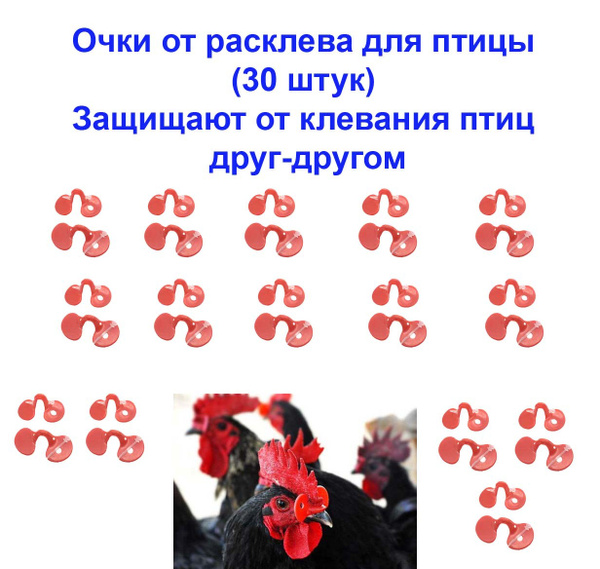 Очки от расклева для с/х птицы, кур, петушков, петухов (30 штук ...