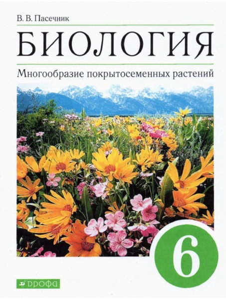 Презентация размножение покрытосеменных растений 6 класс фгос пасечник