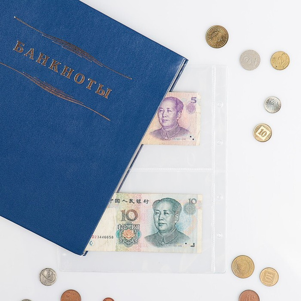 Лист для банкнот, формат "Оптима", 200 х 250 мм, на 2 банкноту, 10 штук ...