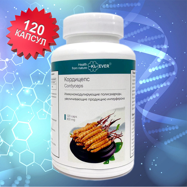 KL-EVER. Кордицепс (Cordyceps) - иммунитет, антиоксидант, для сердца ...