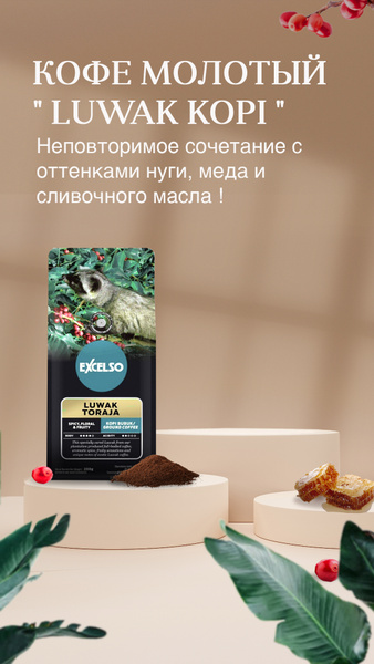 Кофе молотый Kopi Luwak TORAJA 200g (Копи Лювак Торая) 200г - купить с ...