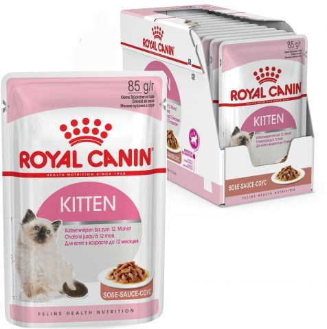 корм для котят royal canin kitten 300г. Kitten 0. сафари корм для собак. роял канин для котят киттен. Kitten 0.