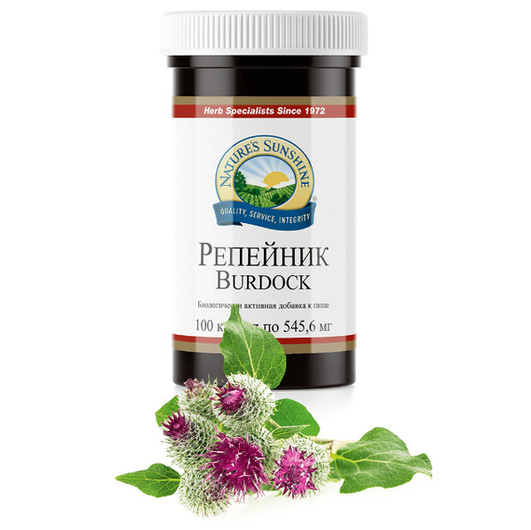 Репейник НСП / Burdock - купить с доставкой по выгодным ценам в ...