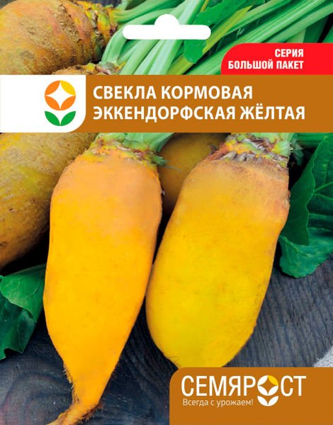 Свекла СЕМЯРОСТ Свекла - купить по выгодным ценам в интернет-магазине ...